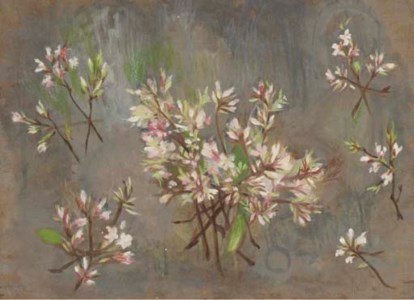 Study of Flowers
