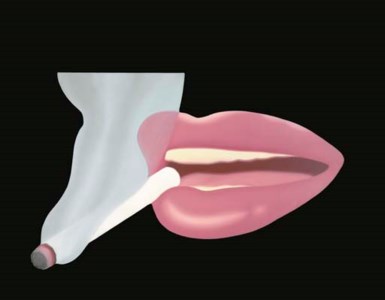 Tom Wesselman, Smoker #6 (previously titled as Mouth #20 )