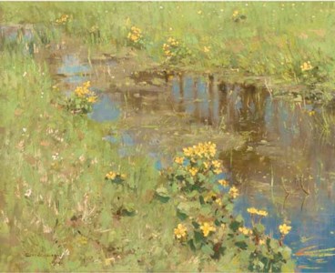 A stream running through a watermeadow