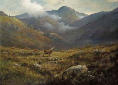 Red deer, Luinne Bheinn