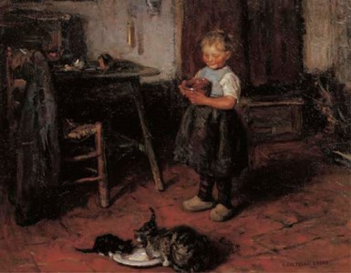 Feeding the kittens