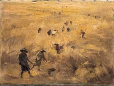 Farmers working in the ricefield