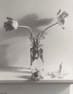 Still-life