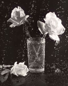 Three Roses in Rain; and Untitled (Grapes, New York)