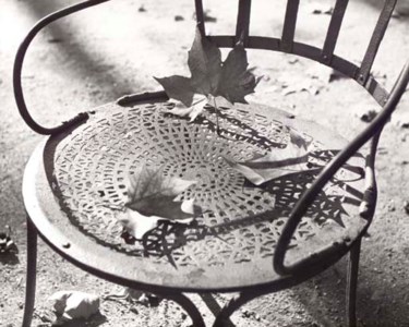 Chair with Dead Leaves, Luxembourg Garden, Paris; and Untitled (Plants and gutter, Paris)