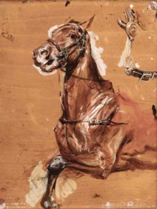 A study of a bridled horse