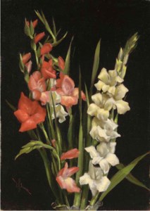 Still Life with Gladiolas