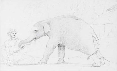 A young elephant with his Indian trainer