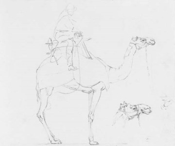Three studies of animals comprising, a camel, a rhino and a water buffalo