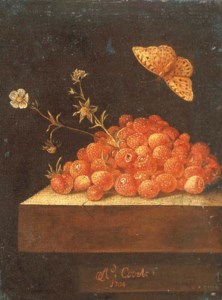Stawberries in a pot on a stone ledge with a butterfly