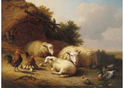 Sheep, ducks and chickens in a landscape