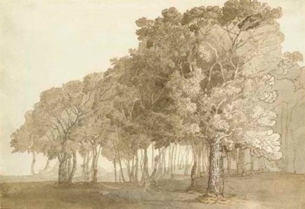 The Grove, Werrington Park, Devon