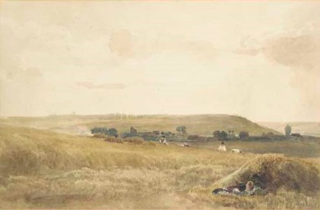 Harvesting scene