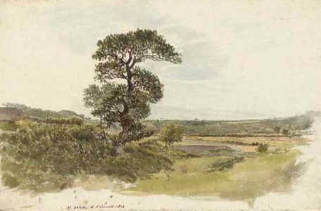 An extensive landscape in North Wales