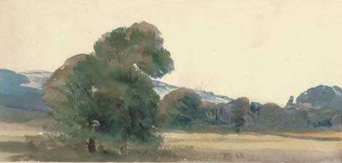 Trees in a field, with hills beyond