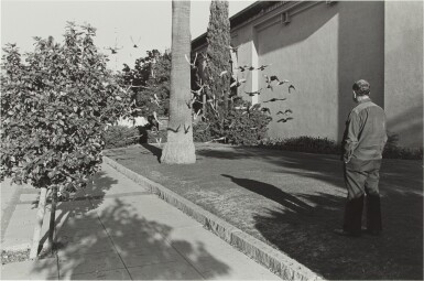Selected Images
