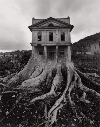 Selected Images