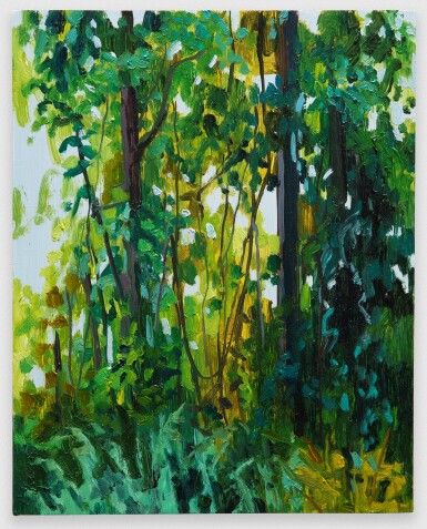 Tree and Vines