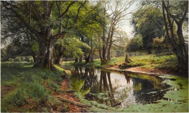 A Woodland Stream on a Summer Day