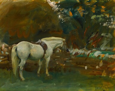 White Pony