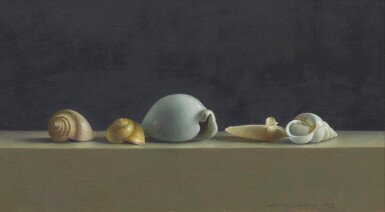 Schelpen stilleven (Seashells still life) 