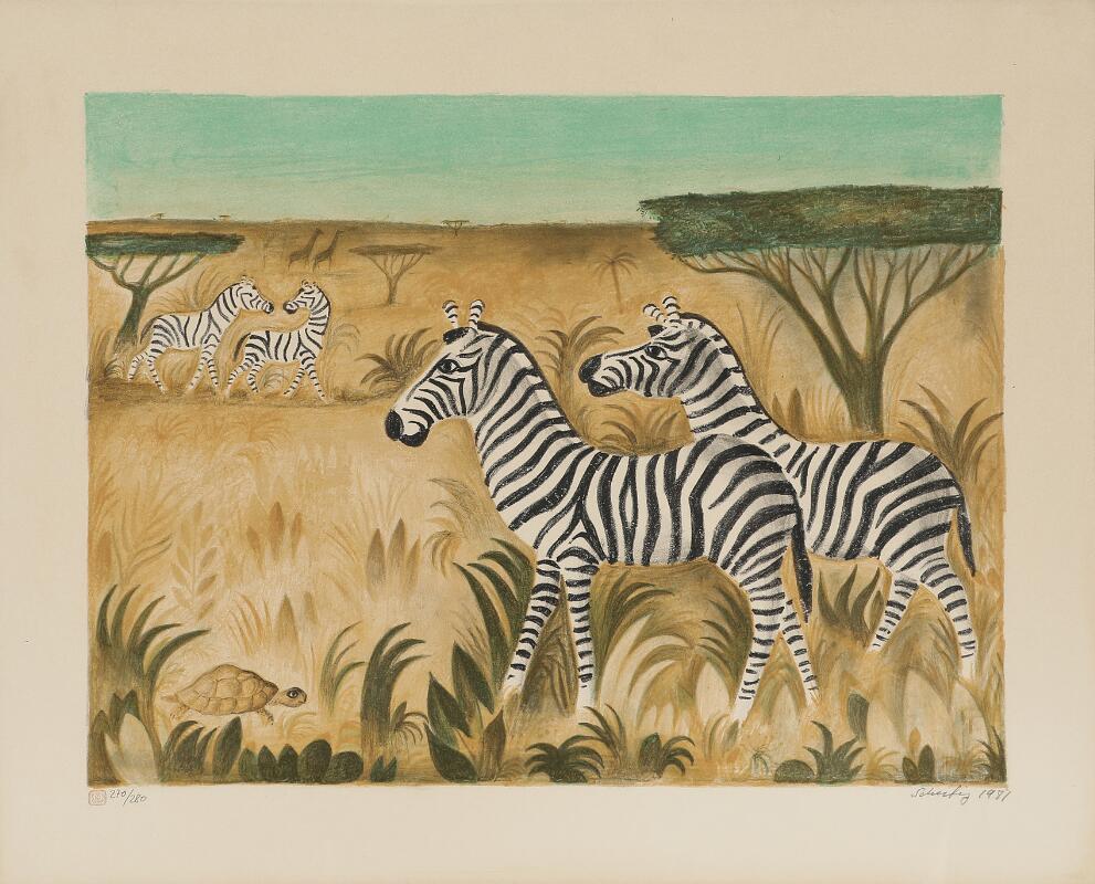“Zebraer”
