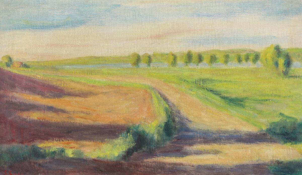 Summer landscape