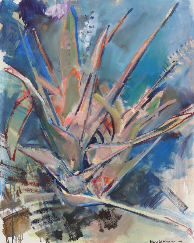 Agave