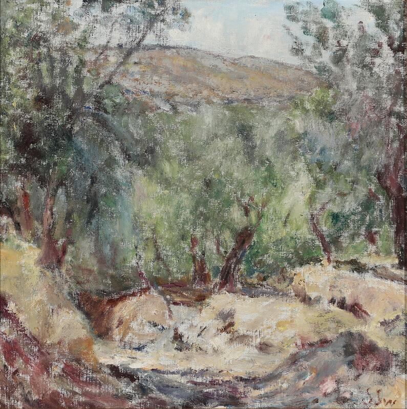 Olive Grove in Alcolea
