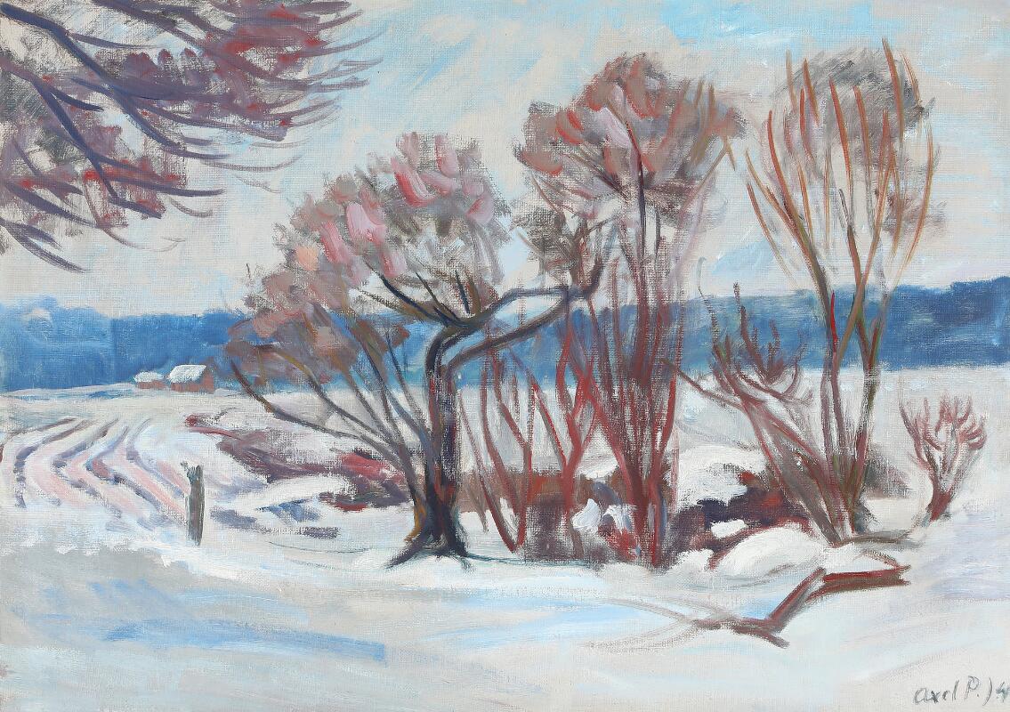 Winter landscape