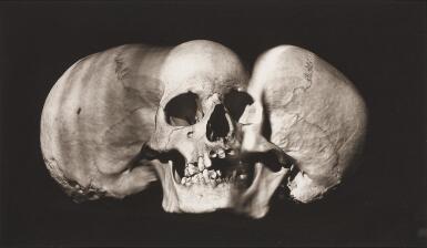 'Wide Skull (A) (New York, 1993)'