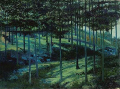 Paisaje de noche
