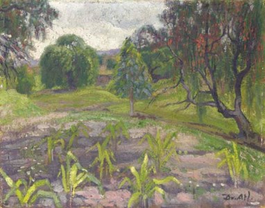 Arbol tropical
