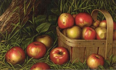 Harvest of Apples