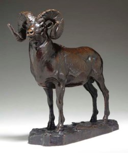 'Big-Horn Sheep'