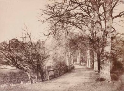 Causeway, Head of the Lake, Losely [sic] Park