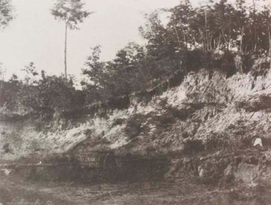 Cabane des Moutons au Jardin des Plantes à Paris; Untitled (Quarry)