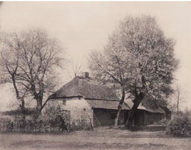Cottage with trees