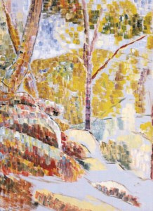 Rocks in Bush