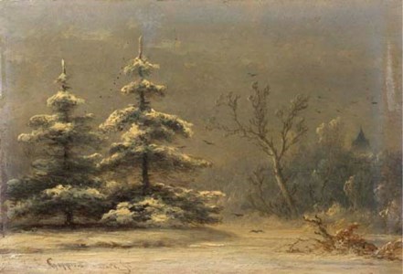 Snowcovered pine-trees in a winter landscape