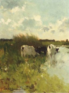 Summer in the polder