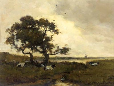 Cattle resting under a tree in a polder landscape