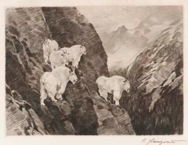 Among the Crags