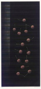 Fourteen Cherries (M. Gall. 106)