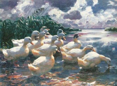 Ducks on a Pond