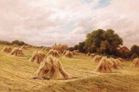 A Surrey Cornfield Near Reigate