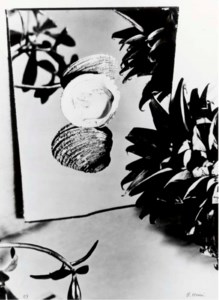 Selected images