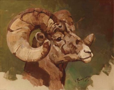 Study for Big Horn Ram's Head