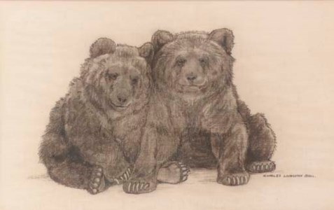 Two Bear Cubs