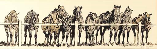 Wester Ponies in front of a Fence